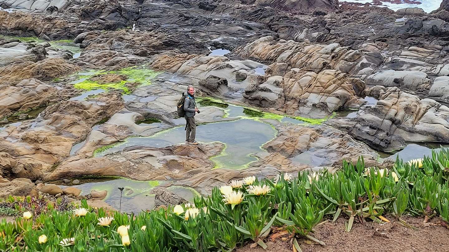 Tide Pools along the Arroyo de los Frijoles Trail 